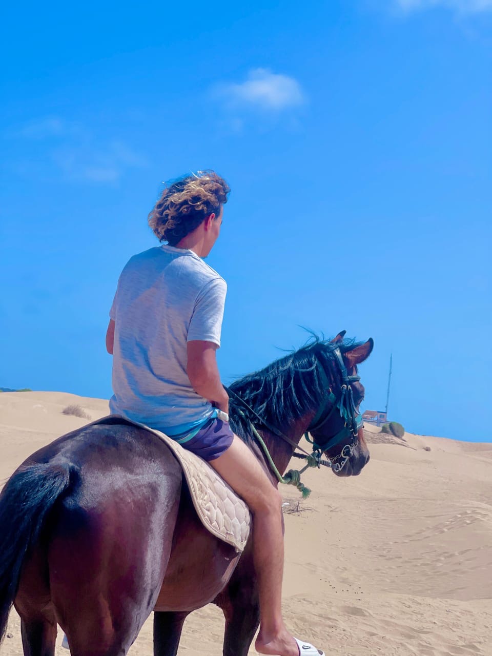 Riding Assif up a golden dune under a blue sky